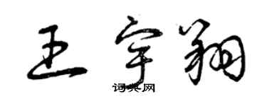 曾庆福王宇翔草书个性签名怎么写