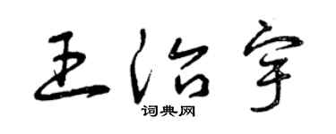 曾庆福王治宇草书个性签名怎么写