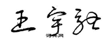 曾庆福王宇驰草书个性签名怎么写