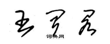 朱锡荣王闻阁草书个性签名怎么写
