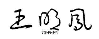 曾庆福王明凤草书个性签名怎么写