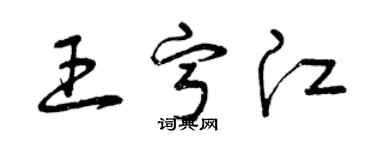曾庆福王宁江草书个性签名怎么写