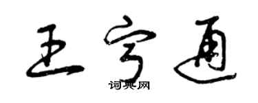 曾庆福王宁通草书个性签名怎么写