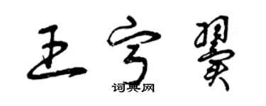 曾庆福王宁翼草书个性签名怎么写