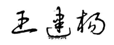 曾庆福王建杨草书个性签名怎么写