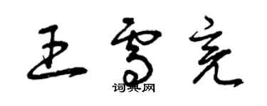 曾庆福王雪亮草书个性签名怎么写