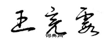 曾庆福王亮霞草书个性签名怎么写