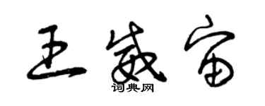 曾庆福王威宙草书个性签名怎么写