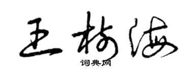 曾庆福王树海草书个性签名怎么写