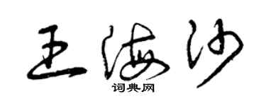 曾庆福王海沙草书个性签名怎么写