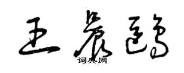 曾庆福王晨鸥草书个性签名怎么写