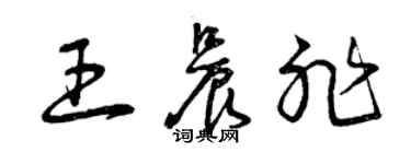 曾庆福王晨非草书个性签名怎么写