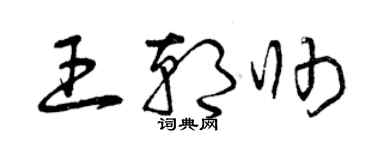 曾庆福王朝帅草书个性签名怎么写