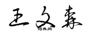 曾庆福王文森草书个性签名怎么写