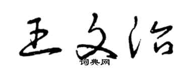 曾庆福王文治草书个性签名怎么写