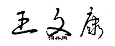 曾庆福王文康草书个性签名怎么写