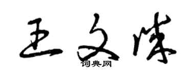 曾庆福王文诚草书个性签名怎么写