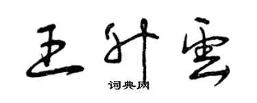 曾庆福王升云草书个性签名怎么写