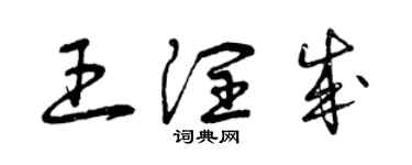 曾庆福王润成草书个性签名怎么写