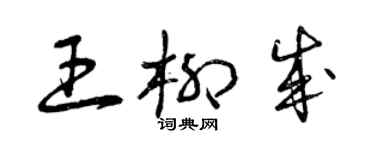 曾庆福王柳成草书个性签名怎么写