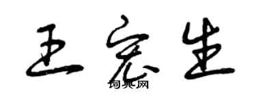 曾庆福王宏生草书个性签名怎么写