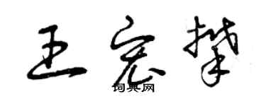 曾庆福王宏攀草书个性签名怎么写