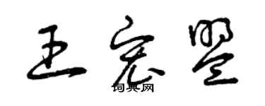 曾庆福王宏盟草书个性签名怎么写