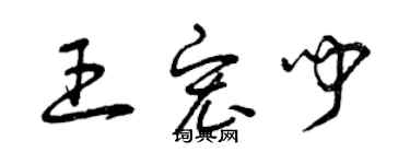 曾庆福王宏闻草书个性签名怎么写