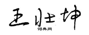 曾庆福王壮坤草书个性签名怎么写