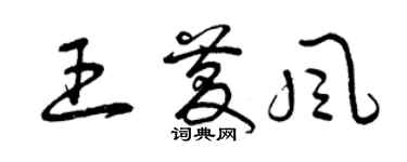 曾庆福王庆风草书个性签名怎么写