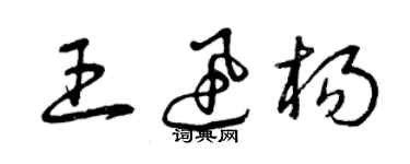 曾庆福王迅杨草书个性签名怎么写