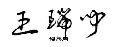 曾庆福王瑞闻草书个性签名怎么写
