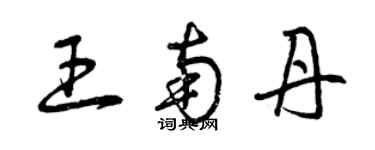曾庆福王南丹草书个性签名怎么写