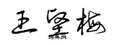 曾庆福王坚梅草书个性签名怎么写
