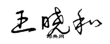 曾庆福王晓和草书个性签名怎么写