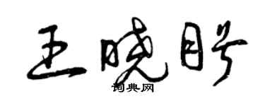 曾庆福王晓盼草书个性签名怎么写