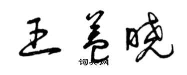 曾庆福王益晓草书个性签名怎么写