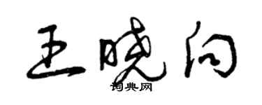 曾庆福王晓向草书个性签名怎么写