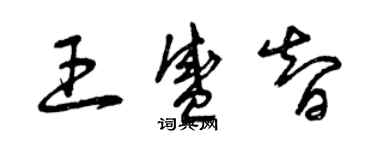 曾庆福王盛智草书个性签名怎么写