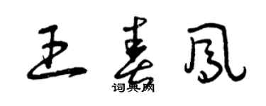 曾庆福王春凤草书个性签名怎么写