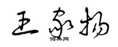 曾庆福王家扬草书个性签名怎么写