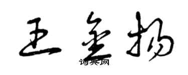 曾庆福王金扬草书个性签名怎么写
