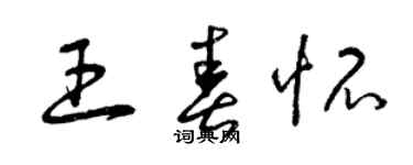 曾庆福王春怀草书个性签名怎么写