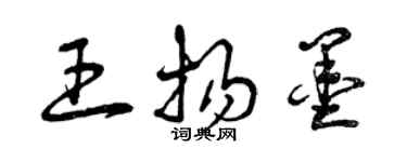 曾庆福王扬墨草书个性签名怎么写