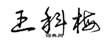 曾庆福王科梅草书个性签名怎么写