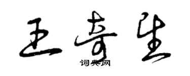 曾庆福王奇望草书个性签名怎么写