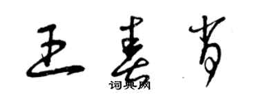 曾庆福王春肖草书个性签名怎么写