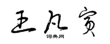 曾庆福王凡宾草书个性签名怎么写