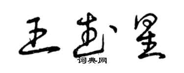 曾庆福王武星草书个性签名怎么写