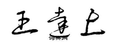 曾庆福王达上草书个性签名怎么写